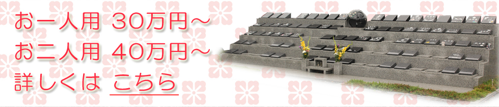 ����l�p30���~�`�A����l�p40���~�`